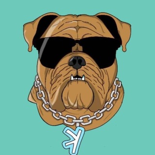 Telegram profile photo for Kaspa DOG 𐤊