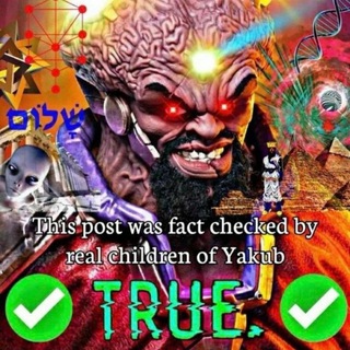 Telegram profile photo for Фетвы Анвара Родионова