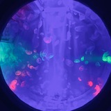 Telegram profile photo for ♪。・: ```Искусство?` 。・゚’
