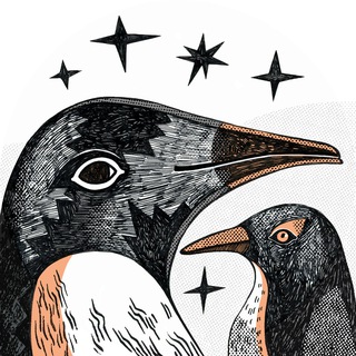 Telegram profile photo for коробка с пингвинами