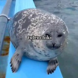 Telegram profile photo for База доброго