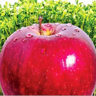 Telegram profile photo for 🌷انصارالشهدا(بوی سیب)🌷