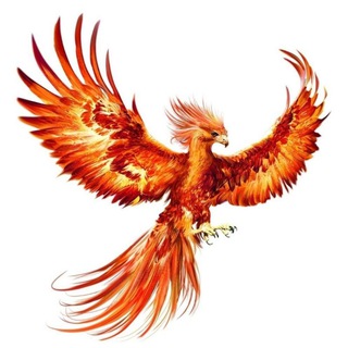 Telegram profile photo for מהאפר קם העולם החדש