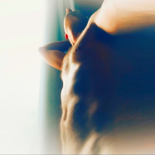 Telegram profile photo for Daddy Logan