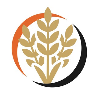 Telegram profile photo for Либертарианцы Кубани