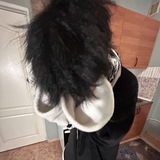 Telegram profile photo for гниющий рыцарь.