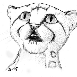 Telegram profile photo for Ролевики: смешные случаи на играх