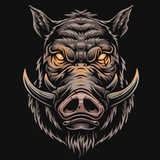 Telegram profile photo for Astho live