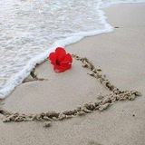 Telegram profile photo for اشعار انتخابی - شعر فارسی