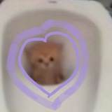 Telegram profile photo for Тупикал♡♥︎