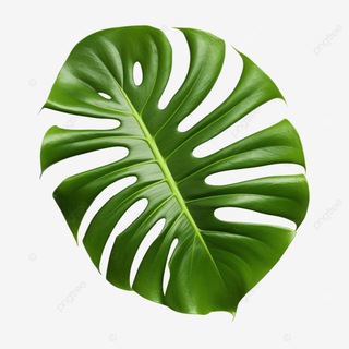 Telegram profile photo for Продажный чат растений🪴