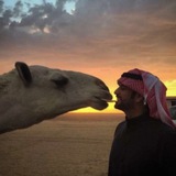 Telegram profile photo for ــر