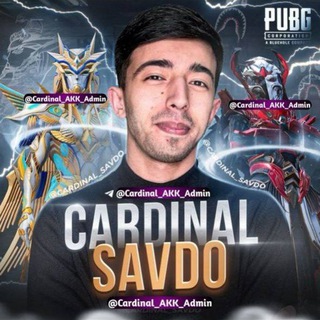 Telegram profile photo for CARDINAL VIDEO AKKAUNT