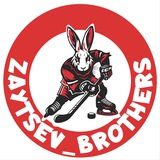 Telegram profile photo for ZaytsevBrothers