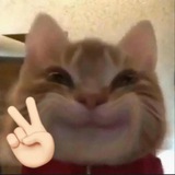 Telegram profile photo for ona