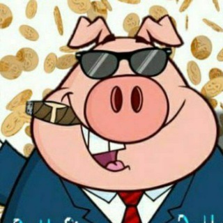 Telegram profile photo for Bcs Gr Shitcoin