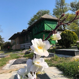 Telegram profile photo for روستای امیرکلا بابلکنار