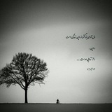 Telegram profile photo for تشنهی نور...☘️