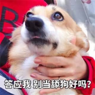 Telegram profile photo for 吃瓜群众/吃瓜爆料/吃瓜社区