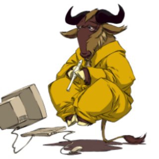 Telegram group profile photo for Wikilibriste : Numérique Éthique et Résilient