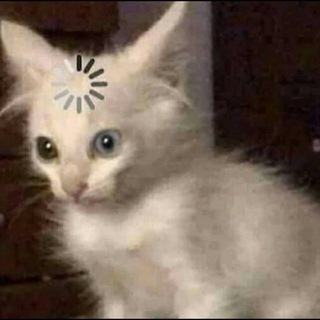 Telegram profile photo for заметки эрни