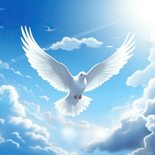 Telegram profile photo for 中華民國大陸臨時國會軍事新聞資訊頻道