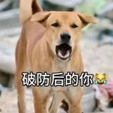 Telegram profile photo for 寒冰导航频道