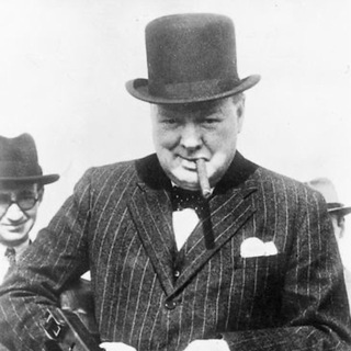 Telegram profile photo for Winston