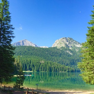 Telegram group profile photo for Жабляк русскоговорящий