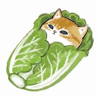 Telegram profile photo for 收留每一只蜉蝣群(不要相信任何私聊,禁广告)