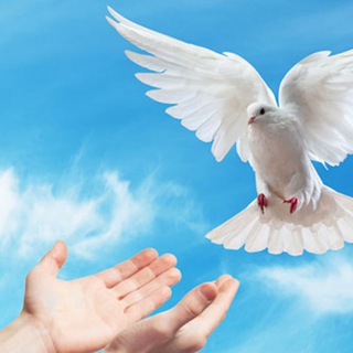 Telegram profile photo for Người Việt Nam thức tỉnh