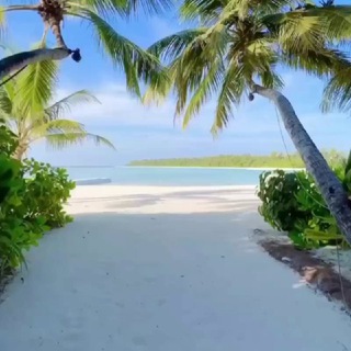 Telegram profile photo for AM_travel_