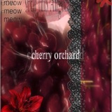 Telegram profile photo for ʙᥙɯнᥱʙыᥔ ᥴᥲд. 𓏲 🪭🍒 𓂃🥡
