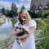 Telegram profile photo for grms info