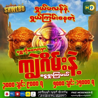 Telegram profile photo for အမြဲနိုင် M9