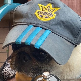 Telegram profile photo for никто не вуди аллен