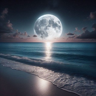 Telegram group profile photo for ادبیات و شعر ( شب های سپید ) اشعار
