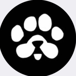 Telegram profile photo for 📊PAWS UZBEKISTAN