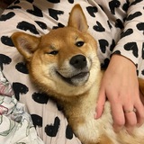 Telegram profile photo for Та самая Ками