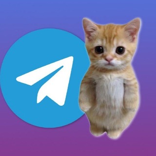 Telegram profile photo for Daily tap