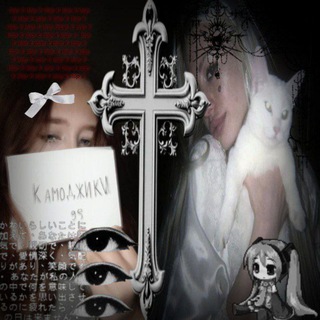 Telegram profile photo for Камоджики୨ৎ