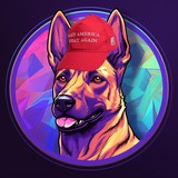 Telegram profile photo for Conan On SoIana Portal