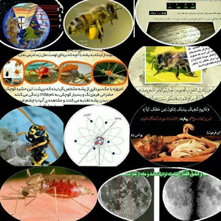 Telegram profile photo for اعجاز قرآن