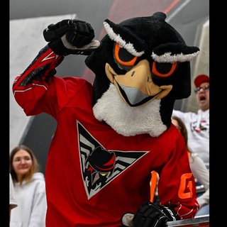 Telegram profile photo for Хоккейный Омск 🦅