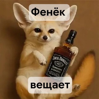Telegram profile photo for Легальный фенёк вещает 🦊