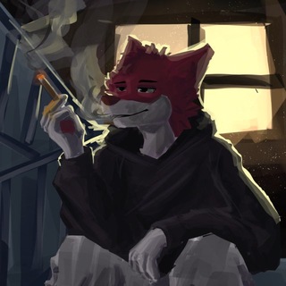 Telegram profile photo for логово капибары