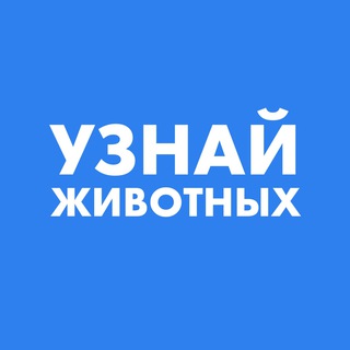 Telegram profile photo for Узнай Животных