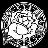 Telegram profile photo for La rosa blanca España