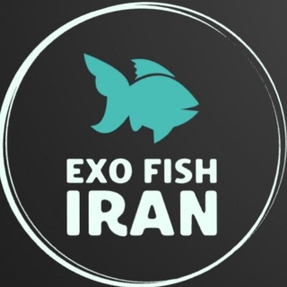 Telegram profile photo for Exo Fish Iran