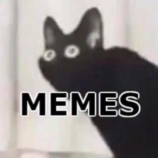 Telegram profile photo for Lynposting ππ€ππ€